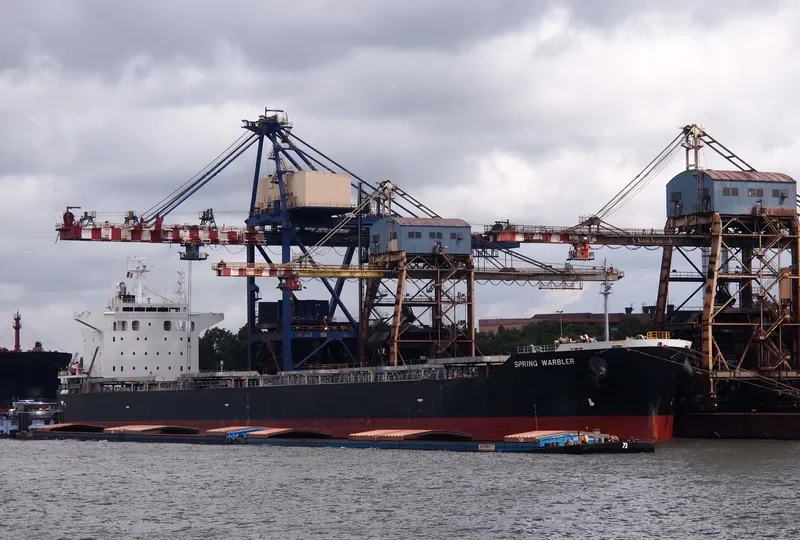 SPRING WARBLER Bulk Carrier IMO 9490117 photo 7