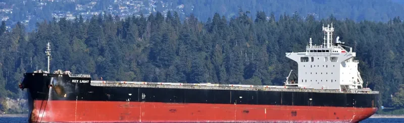 KEY LIGHT Bulk Carrier IMO 9490129 photo 4