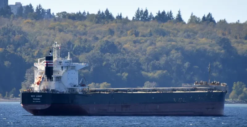 KEY LIGHT Bulk Carrier IMO 9490129 photo 6