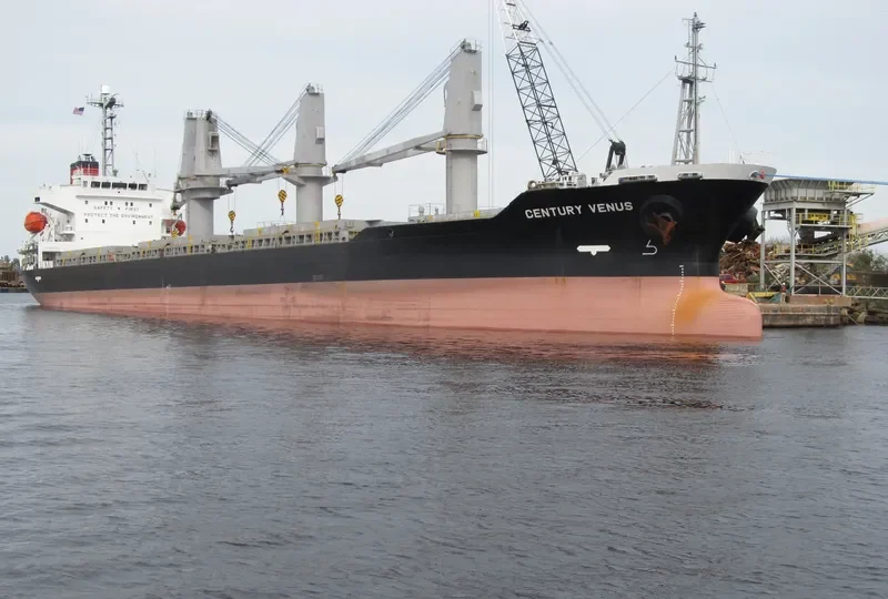 CENTURY VENUS Bulk Carrier IMO 9490260 photo 3