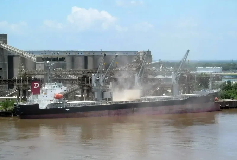 CENTURY VENUS Bulk Carrier IMO 9490260 photo 7
