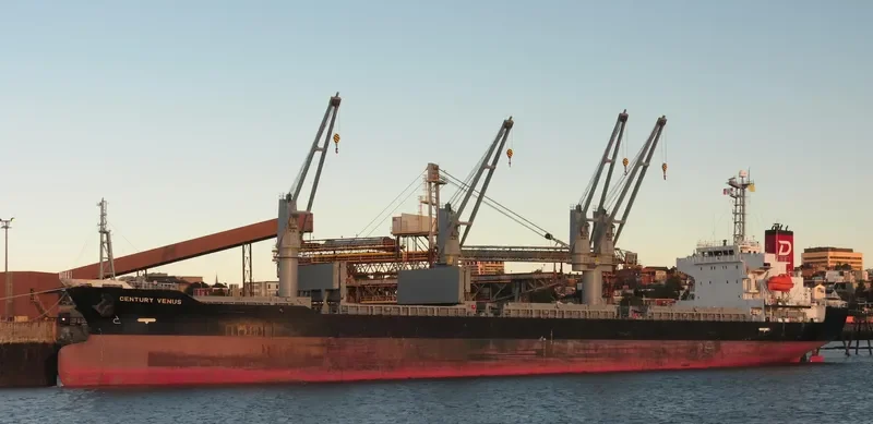 CENTURY VENUS Bulk Carrier IMO 9490260 photo 9