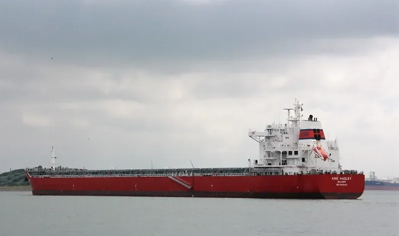 ODYSSEUS N Bulk Carrier IMO 9490442