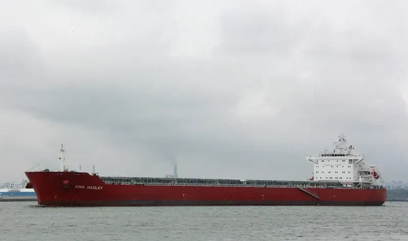 ODYSSEUS N Bulk Carrier IMO 9490442 photo 2