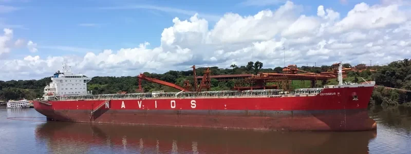 ODYSSEUS N Bulk Carrier IMO 9490442 photo 3