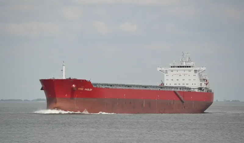 ODYSSEUS N Bulk Carrier IMO 9490442 photo 5