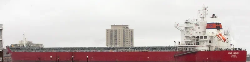 ODYSSEUS N Bulk Carrier IMO 9490442 photo 6