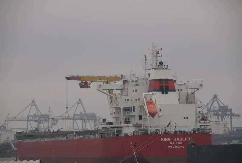 ODYSSEUS N Bulk Carrier IMO 9490442 photo 7