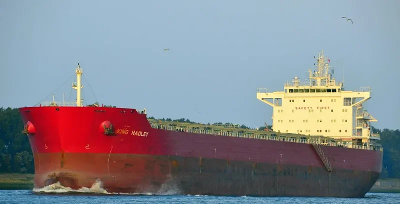ODYSSEUS N Bulk Carrier IMO 9490442 photo 8