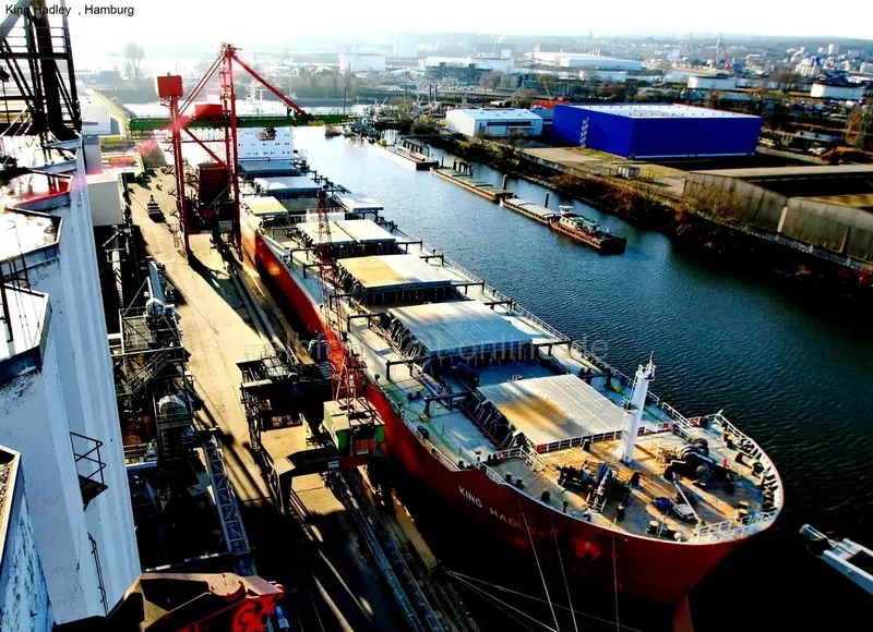 ODYSSEUS N Bulk Carrier IMO 9490442 photo 9