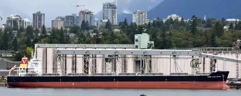 NEW HOPE Bulk Carrier IMO 9490454