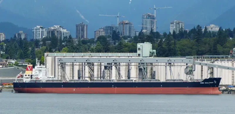 NEW HOPE Bulk Carrier IMO 9490454 photo 2