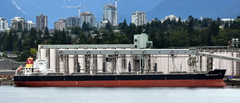 NEW HOPE Bulk Carrier IMO 9490454 photo 5
