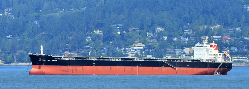 NEW HOPE Bulk Carrier IMO 9490454 photo 7
