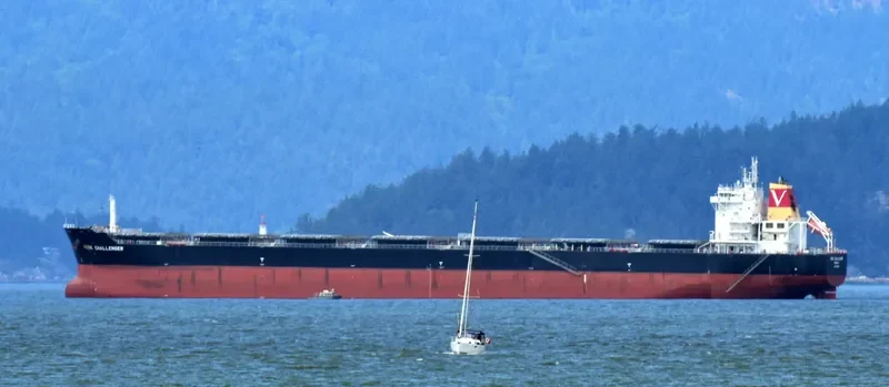 NEW HOPE Bulk Carrier IMO 9490454 photo 8