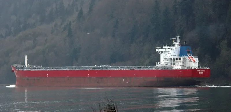 UNITY N Bulk Carrier IMO 9490466 photo 6