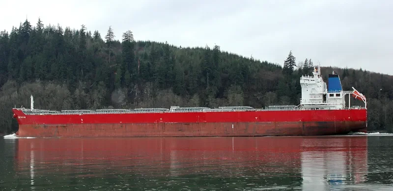 UNITY N Bulk Carrier IMO 9490466 photo 7