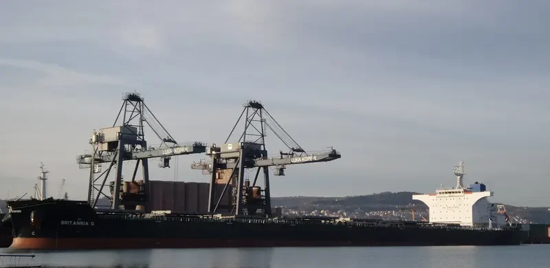 ANGLO MARIE LOUISE Bulk Carrier IMO 9490492 photo 8
