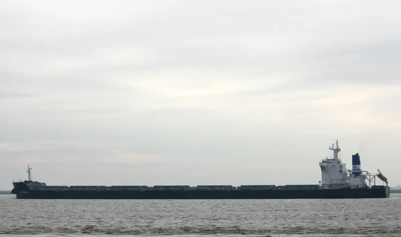 ANGLO MARIE LOUISE Bulk Carrier IMO 9490492 photo 10