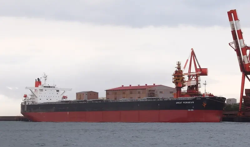 GREAT PERSEUS Bulk Carrier IMO 9490600 photo 8