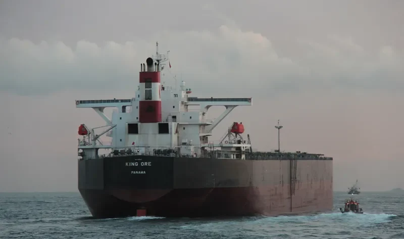 CAPE SARINA Bulk Carrier IMO 9490612 photo 2