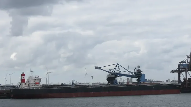 CAPE SARINA Bulk Carrier IMO 9490612 photo 5