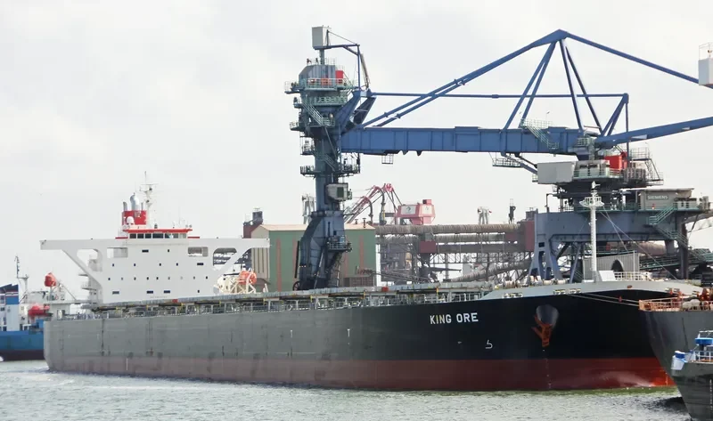 CAPE SARINA Bulk Carrier IMO 9490612 photo 6