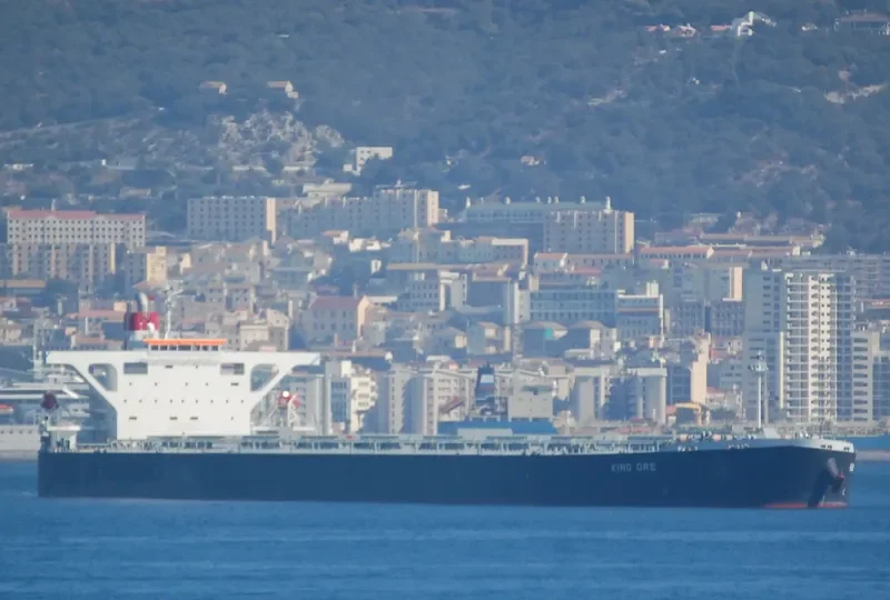 CAPE SARINA Bulk Carrier IMO 9490612 photo 10