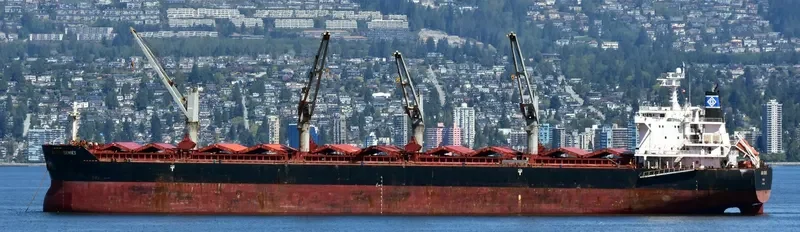 GENCO ARDENNES Bulk Carrier IMO 9490636 photo 3