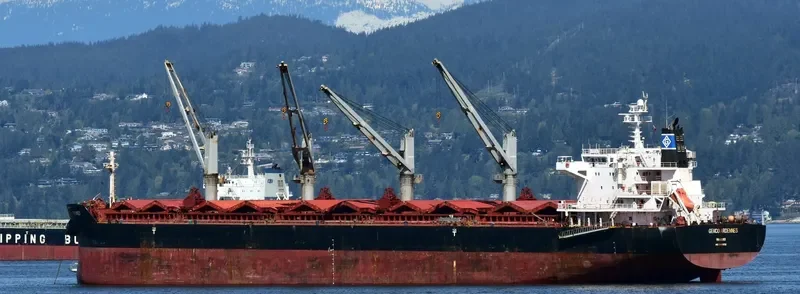 GENCO ARDENNES Bulk Carrier IMO 9490636 photo 4