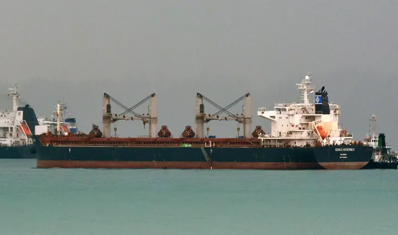 GENCO ARDENNES Bulk Carrier IMO 9490636 photo 6