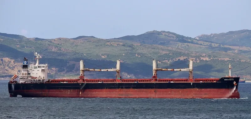 GENCO ARDENNES Bulk Carrier IMO 9490636 photo 7