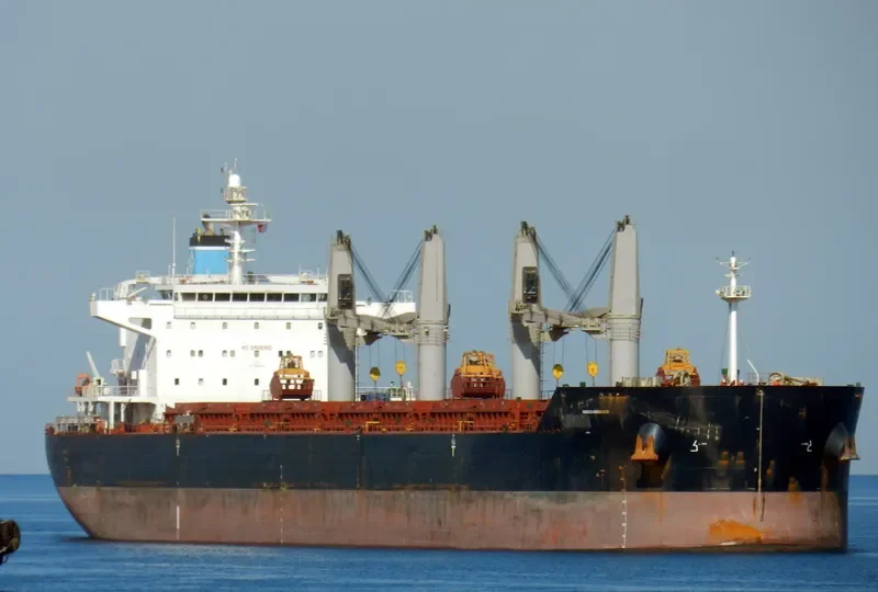 GENCO ARDENNES Bulk Carrier IMO 9490636 photo 10