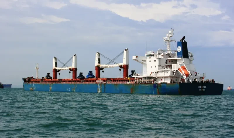 BELSTAR Bulk Carrier IMO 9490648 photo 4