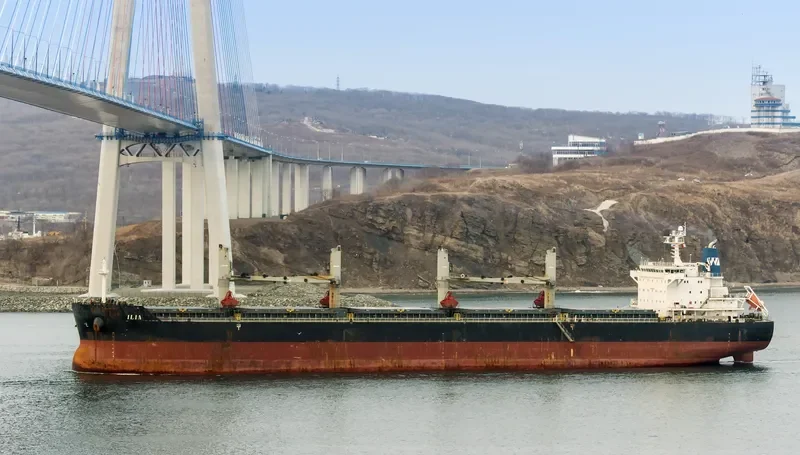 ILIA Bulk Carrier IMO 9490650 photo 3