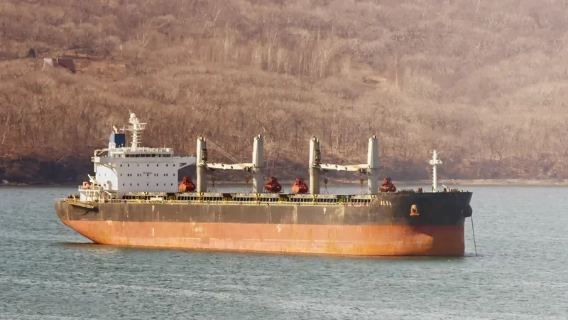 ILIA Bulk Carrier IMO 9490650 photo 4