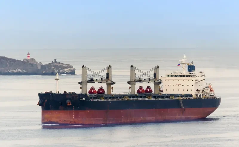 ILIA Bulk Carrier IMO 9490650 photo 6