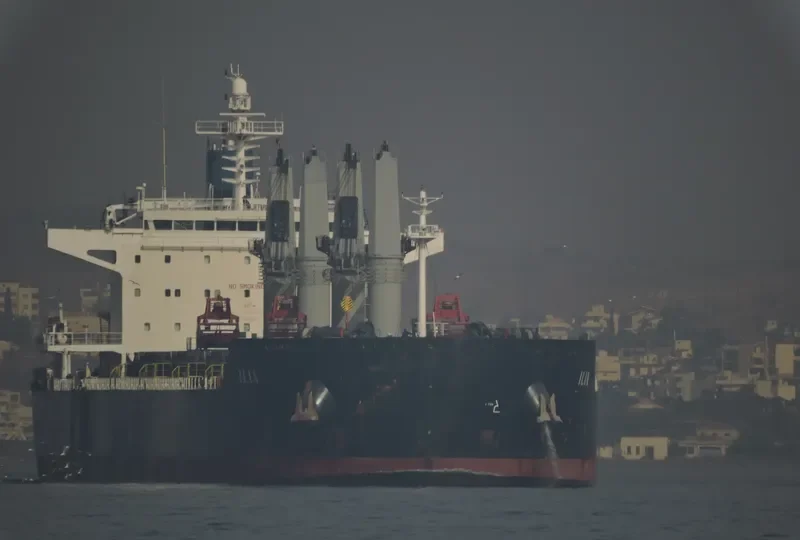 ILIA Bulk Carrier IMO 9490650 photo 7