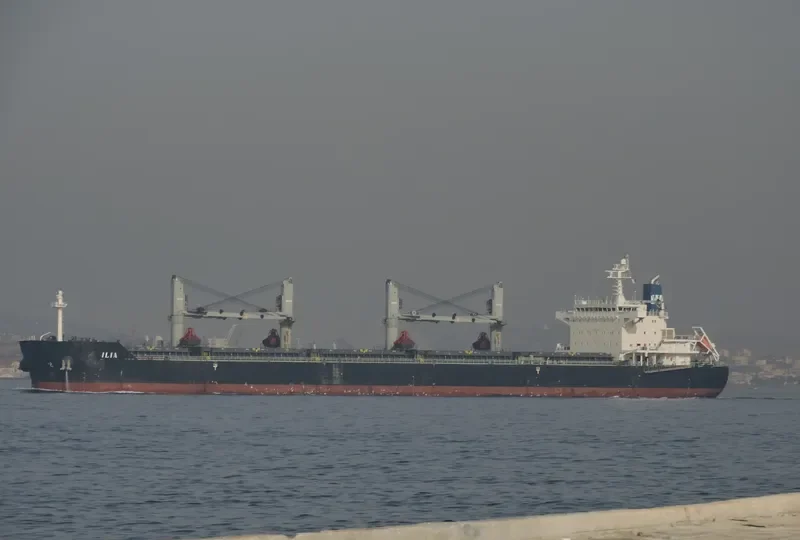 ILIA Bulk Carrier IMO 9490650 photo 8