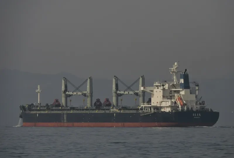 ILIA Bulk Carrier IMO 9490650 photo 9