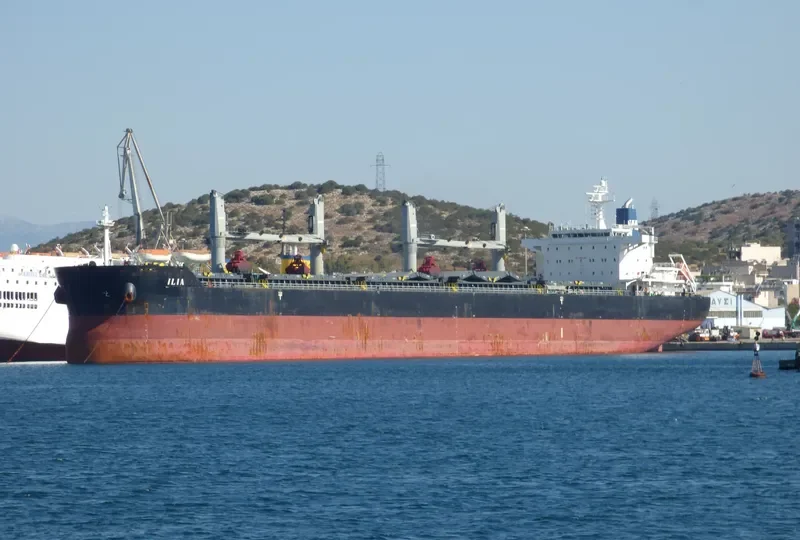 ILIA Bulk Carrier IMO 9490650 photo 10