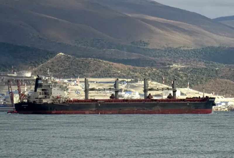 GENCO BOURGOGNE Bulk Carrier IMO 9490662