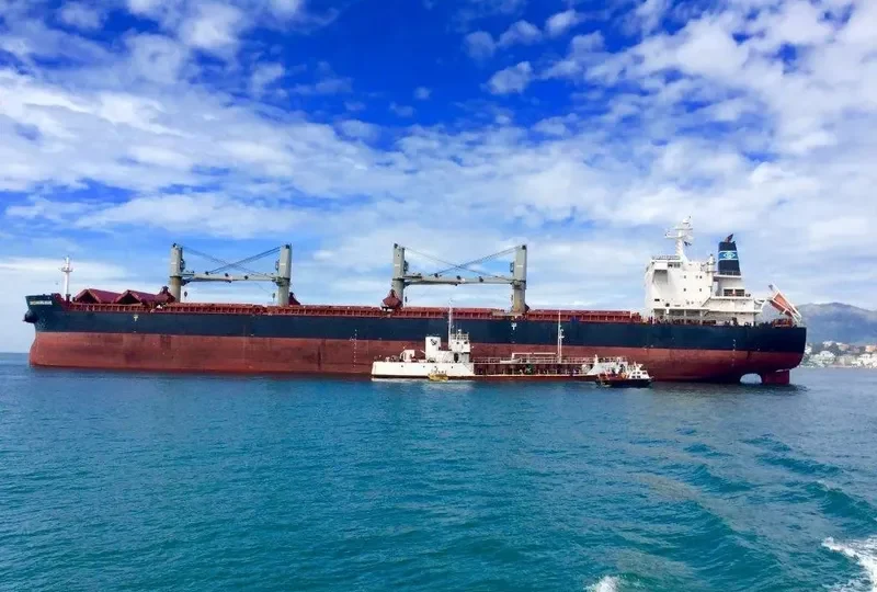 GENCO BOURGOGNE Bulk Carrier IMO 9490662 photo 9