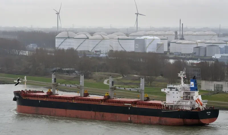 HANSEATIC EAGLE Bulk Carrier IMO 9490674