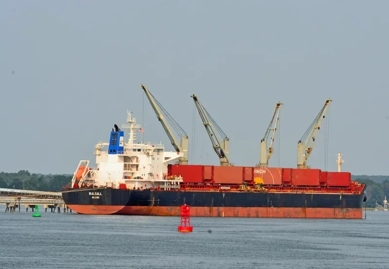 HANSEATIC EAGLE Bulk Carrier IMO 9490674 photo 3