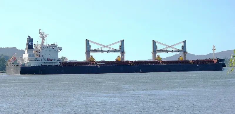 GENCO BRITTANY Bulk Carrier IMO 9490698 photo 7