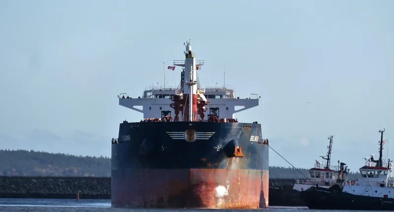 BELNOR Bulk Carrier IMO 9490703 photo 7