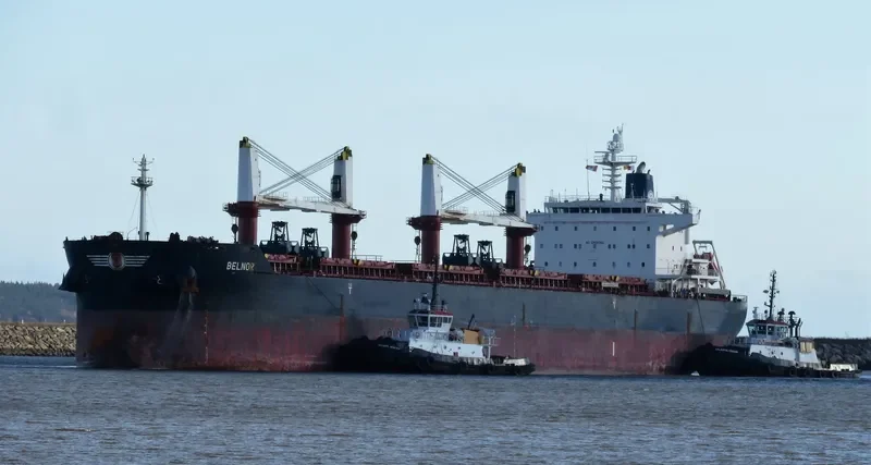BELNOR Bulk Carrier IMO 9490703 photo 8