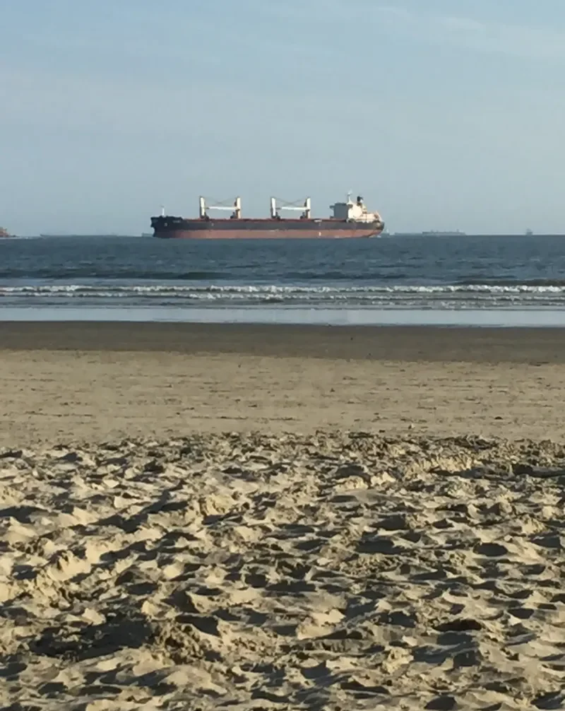BELNOR Bulk Carrier IMO 9490703 photo 9