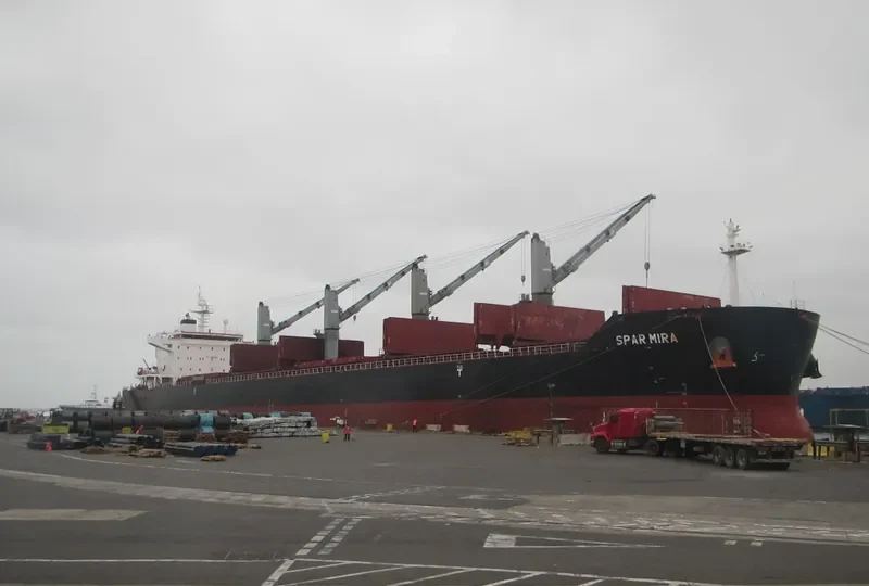 SPAR MIRA Bulk Carrier IMO 9490727 photo 4